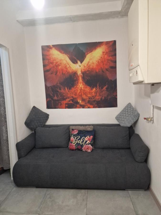 Fenice Terst Exteriér fotografie
